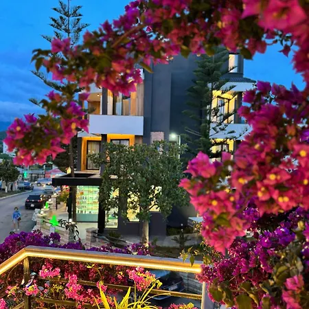 Joni Premium كساميل